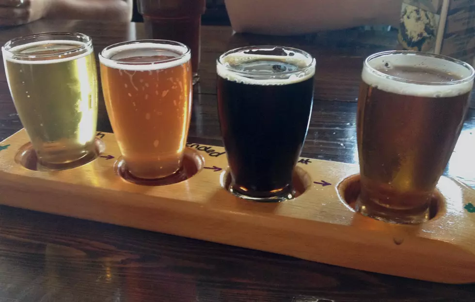 July is Michigan Craft Beer Month! [Video]