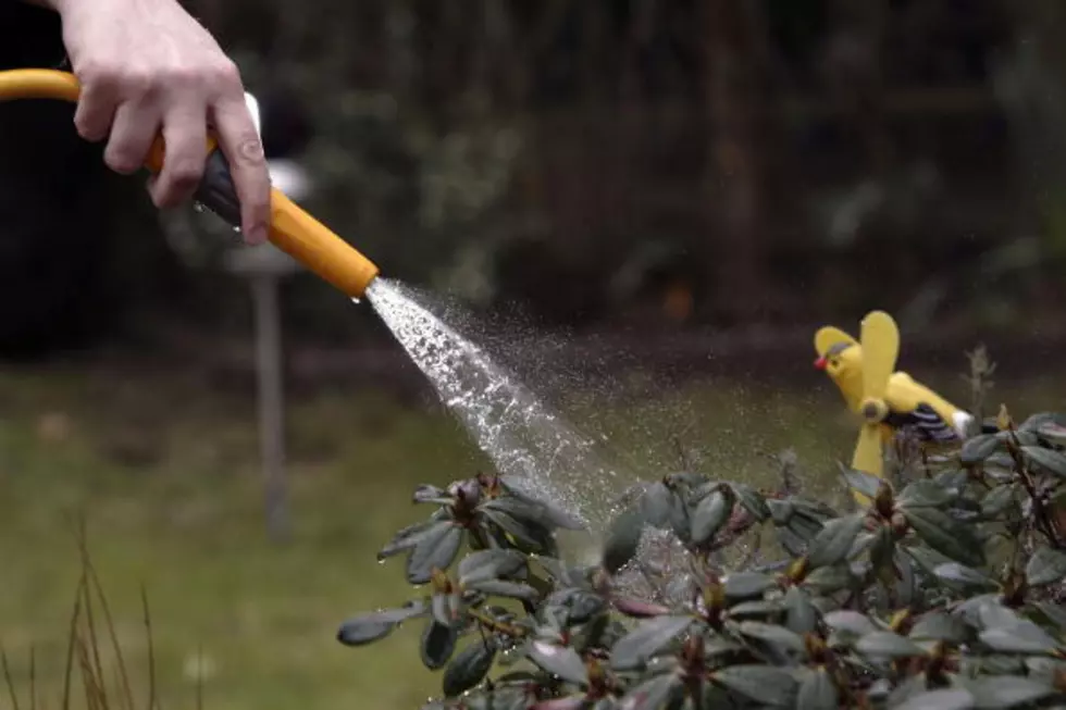 This Guy Makes Beautiful Music Using A Garden Hose [Video]