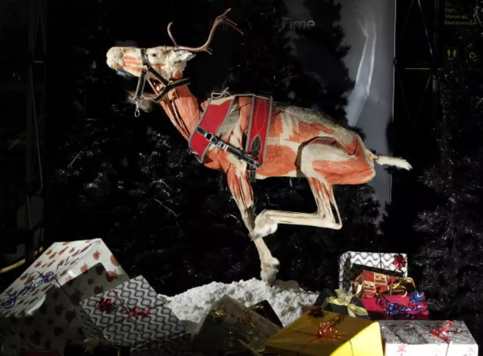 What Killed Grandma: The Reindeer or Her Drinking? [Video]