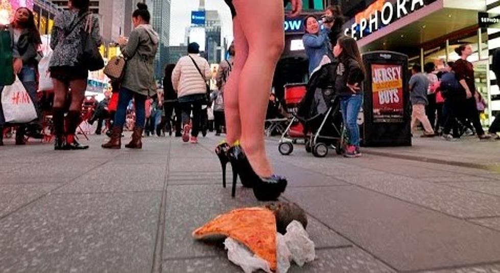 Pizza Rat Prank Clears a Busy New York Street