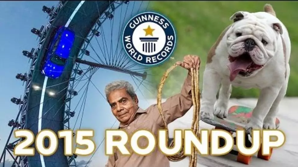 2015 Guinness Book Of World Record Compilation [VIDEO]