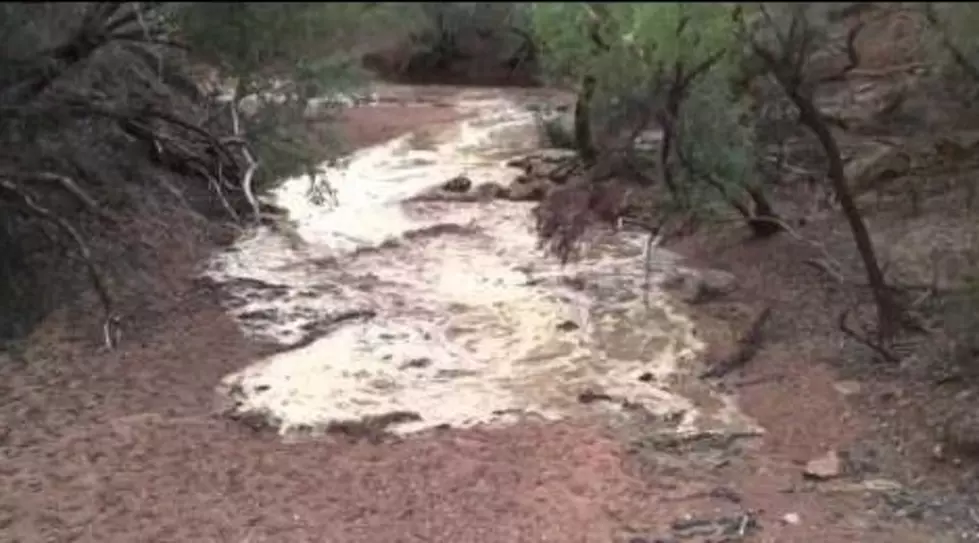 River Starts Flowing in Drought Area in Australia – Man Can’t Believe it [NSFW]