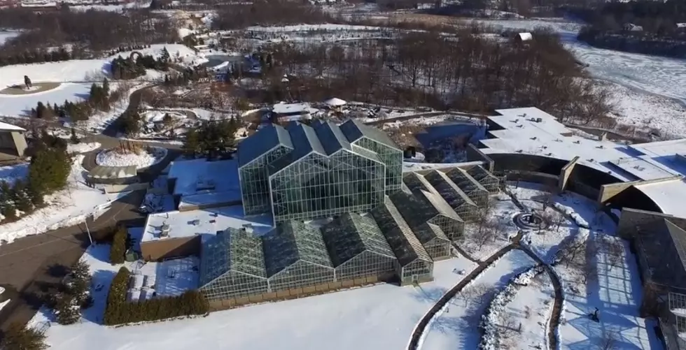 Wonderful Drone Video Of Meijer Gardens In Winter