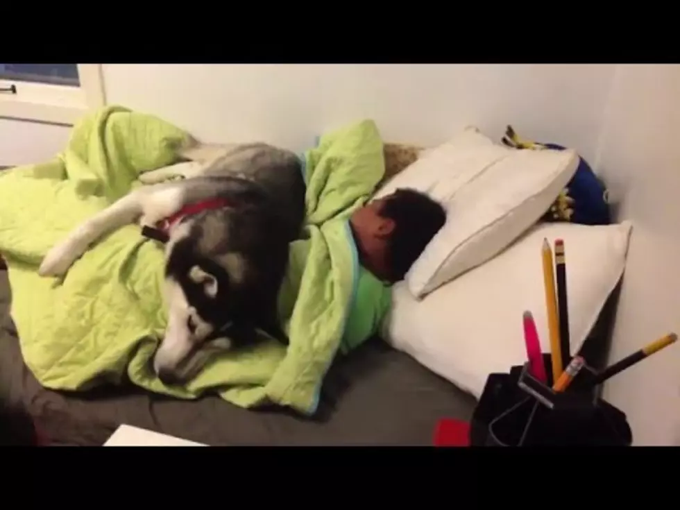 Dog Senses It’s Monday, Prevents Kid From Waking Up [Video]