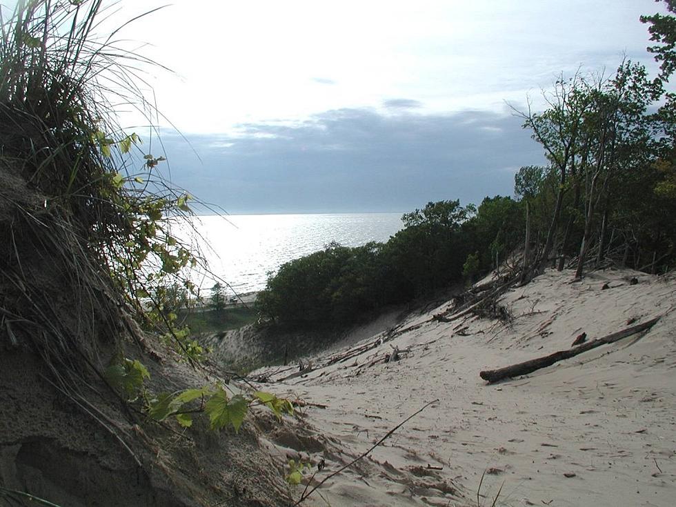 The Top Five West Michigan Beaches to Visit This Summer