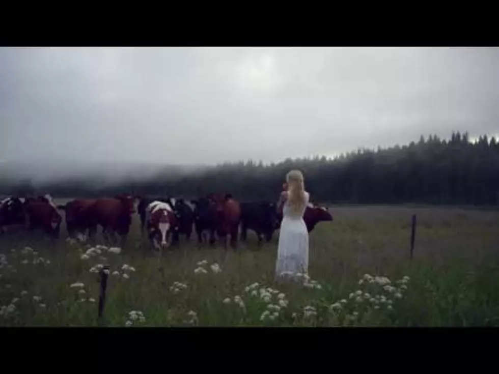 Woman Uses Ancient Swedish Herding Call Song to Call Cows