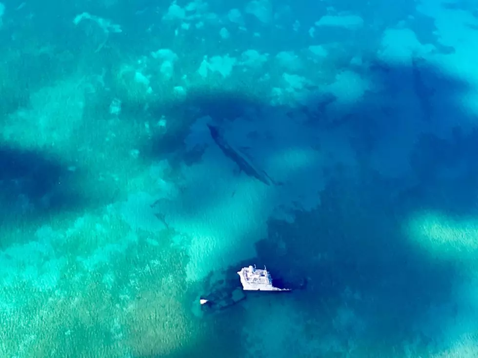 Two Shipwrecks Lie Side By Side In Lake Michigan, Here’s Their Story [Photo]