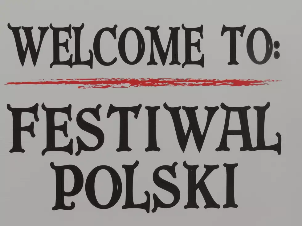 First Impressions: 2016 Polish Heritage Society Polish Festival