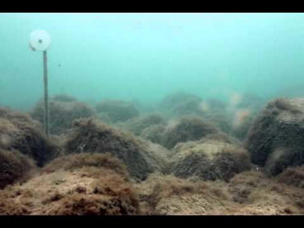 A Summer At The Bottom Of Lake Michigan [Video]