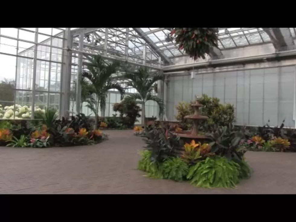 A Look Inside the New Seasonal Display Greenhouse at Meijer Gardens