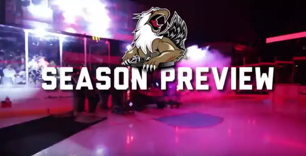 Previewing the 2016-17 Grand Rapids Griffins Season