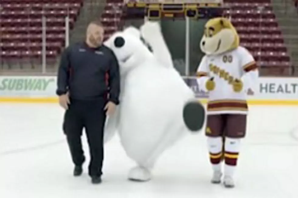 A Polar Bear that Can’t Stand on the Ice…