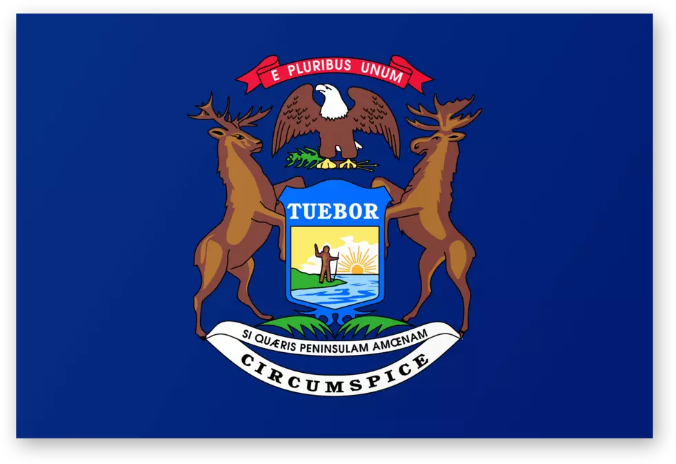 What Do You Think Of This Redesign Of Our State Flag?