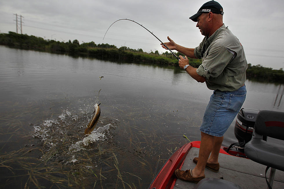 Michigan Fisherman Catches Whitefish, Gets A Bonus Northern Pike