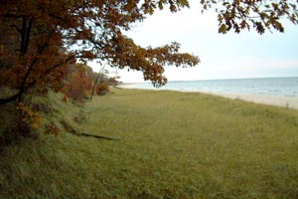 The Lesser Known Beaches of West Michigan: Olive Shores