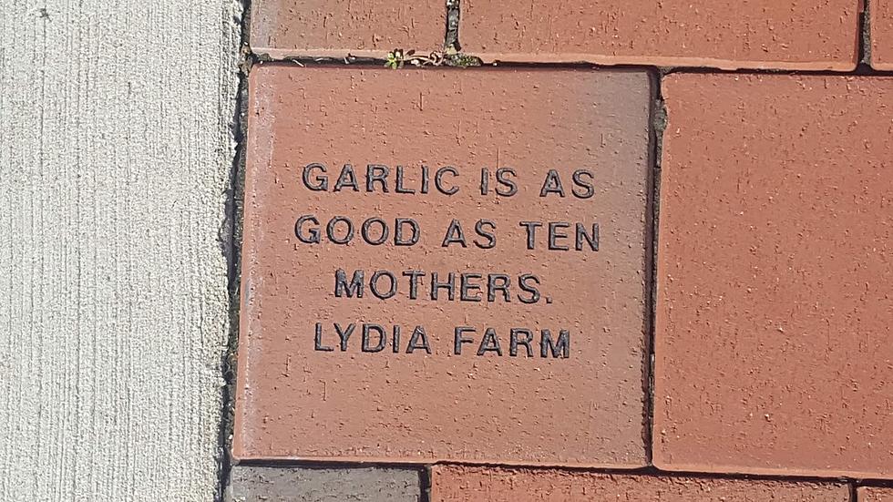 Wisdom From The Bricks At The Fulton Street Farmer’s Market [Photos]