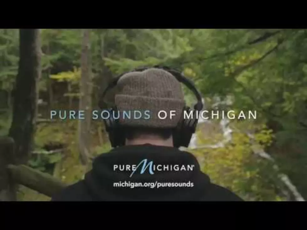 Album Featuring The ‘Pure Sounds of Michigan’ To Be Released [Video]