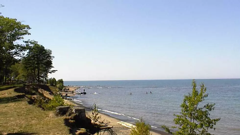 Woman Stabbed At Michigan State Park Over A Dog