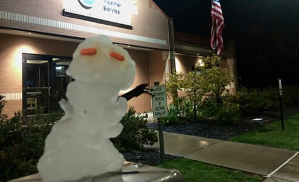 The First Michigan Snowman of The Season Has Been Built