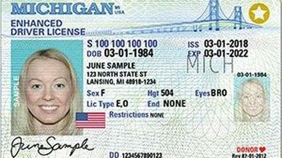 Is Your Michigan License Suspended? It Might Not Be Starting Fri.