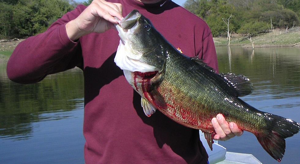 Michigan Bass Season Opens Saturday