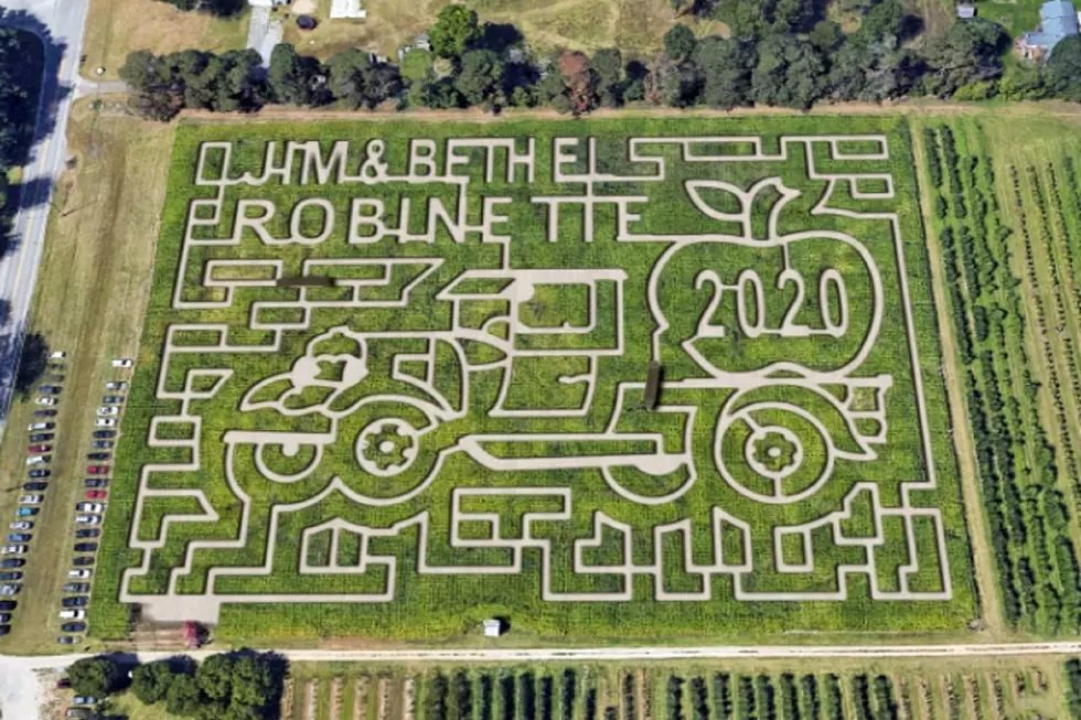 Get Lost in Local Corn Mazes