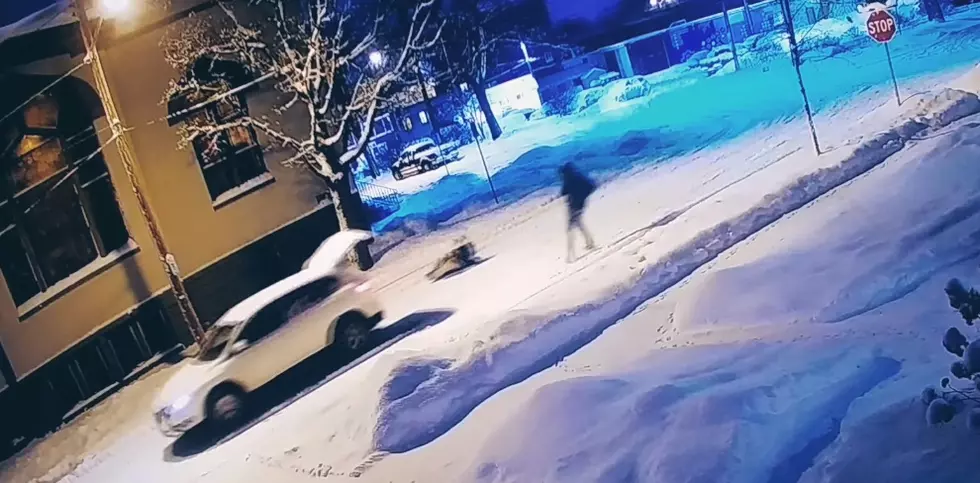 Snow Surfing In Grand Rapids [Video]