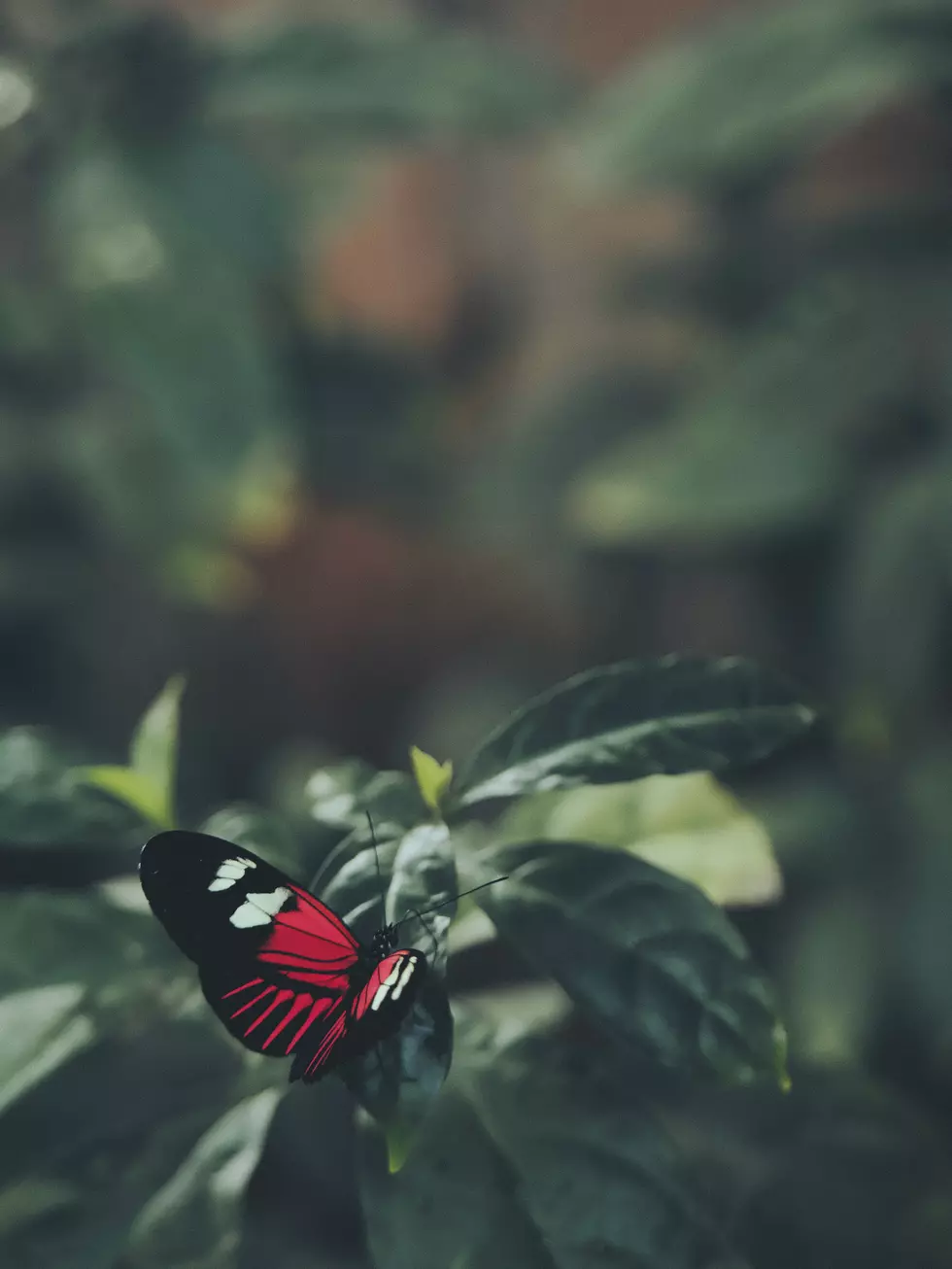 Photo by Aaron Burden on Unsplash