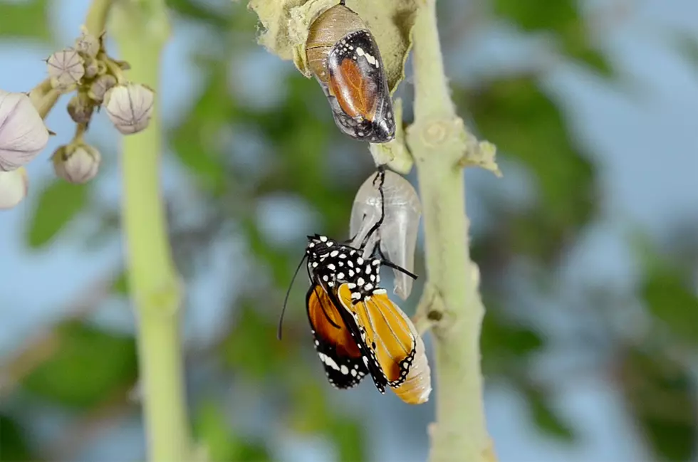 Photo by Bankim Desai on Unsplash