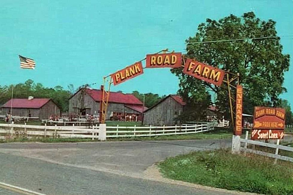 Remembering Plank Road Farm