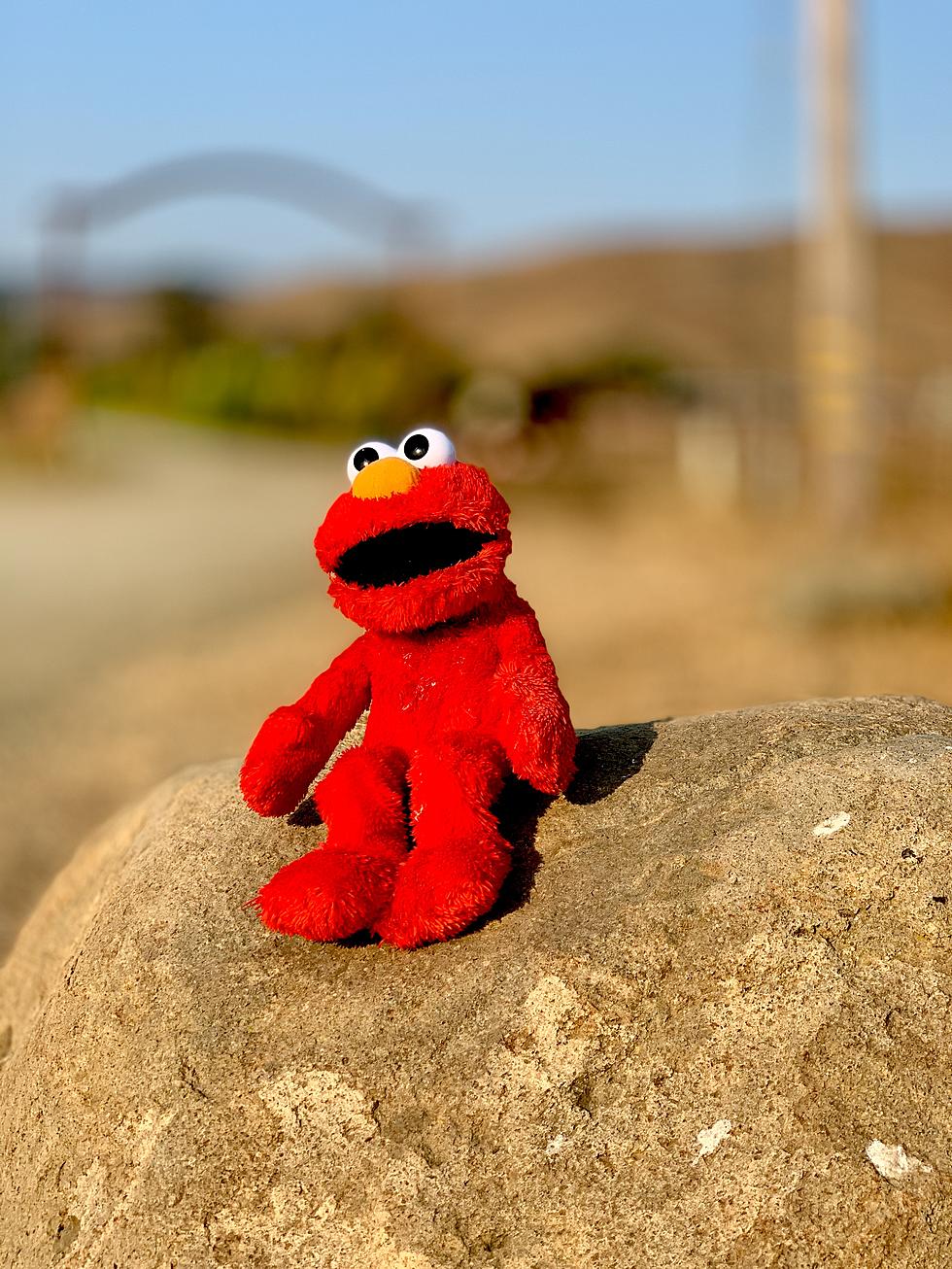 Michigan Man Busted For &#8216;Having His Way&#8217; With Elmo