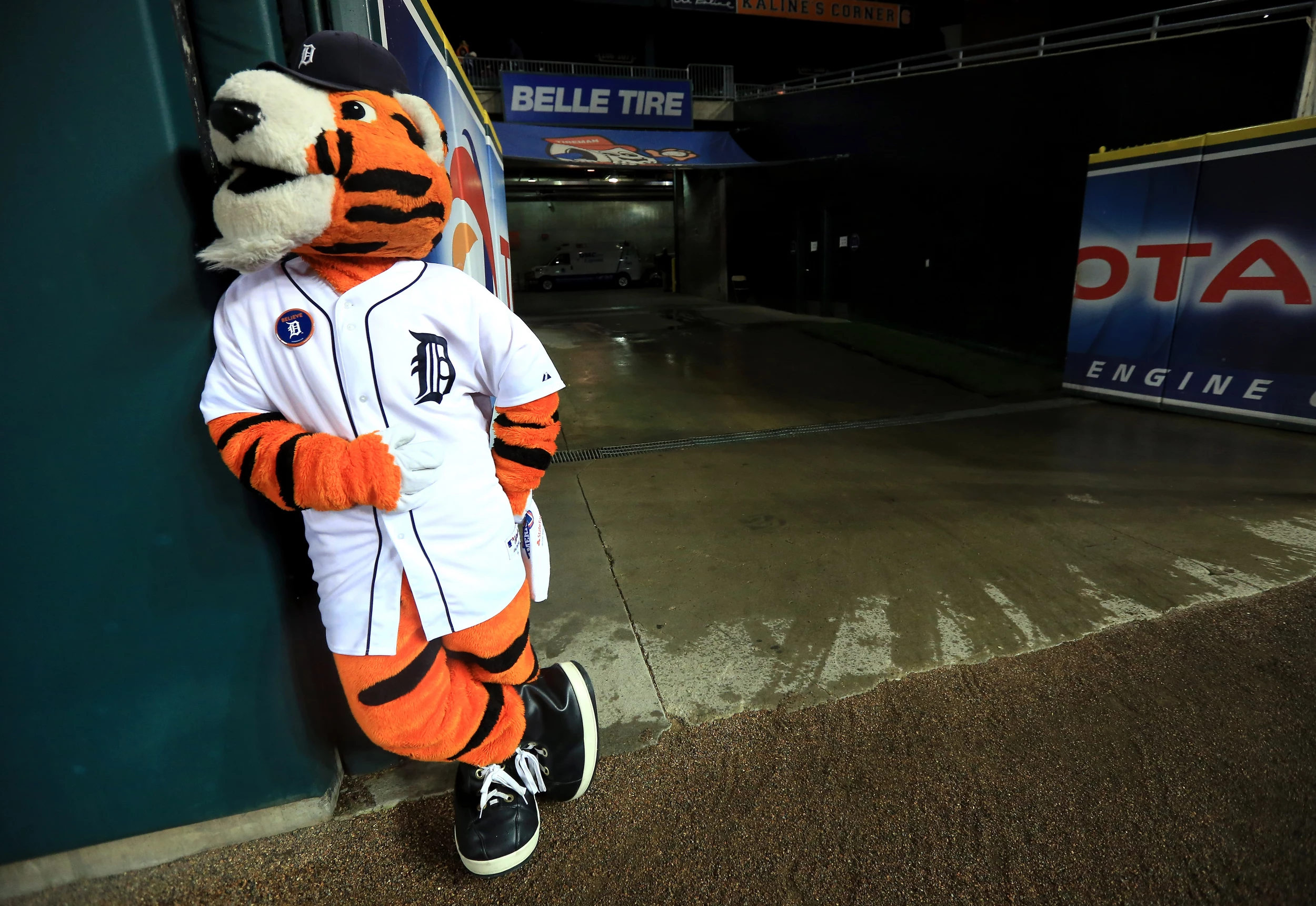 Tigers Mascot 'Paws' Earns 2nd Place In Fan Poll