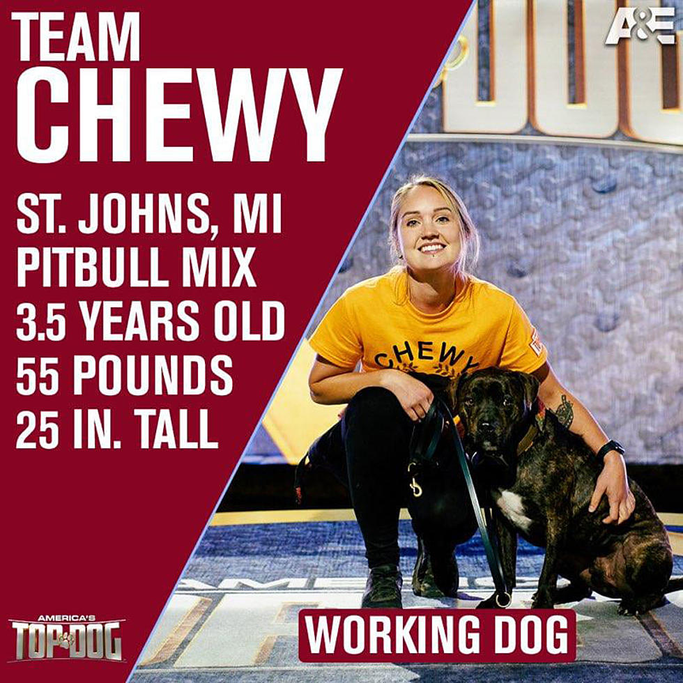 Michigan Dog To Compete On National TV Show