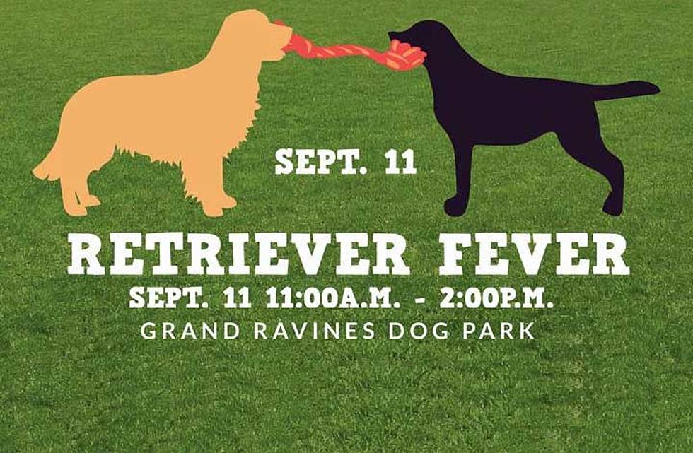 Retriever Fever Coming Soon