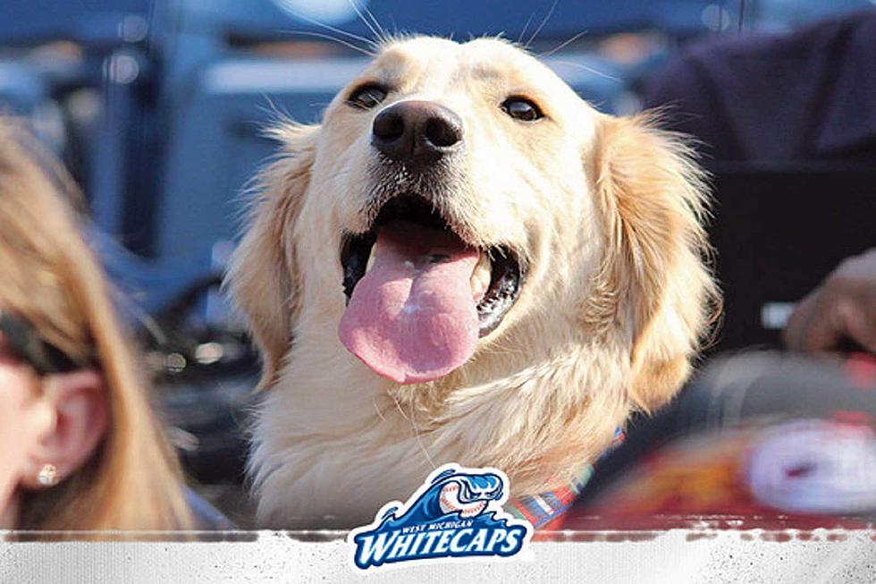 It’s Dog Day on Wednesday at the Whitecaps Game
