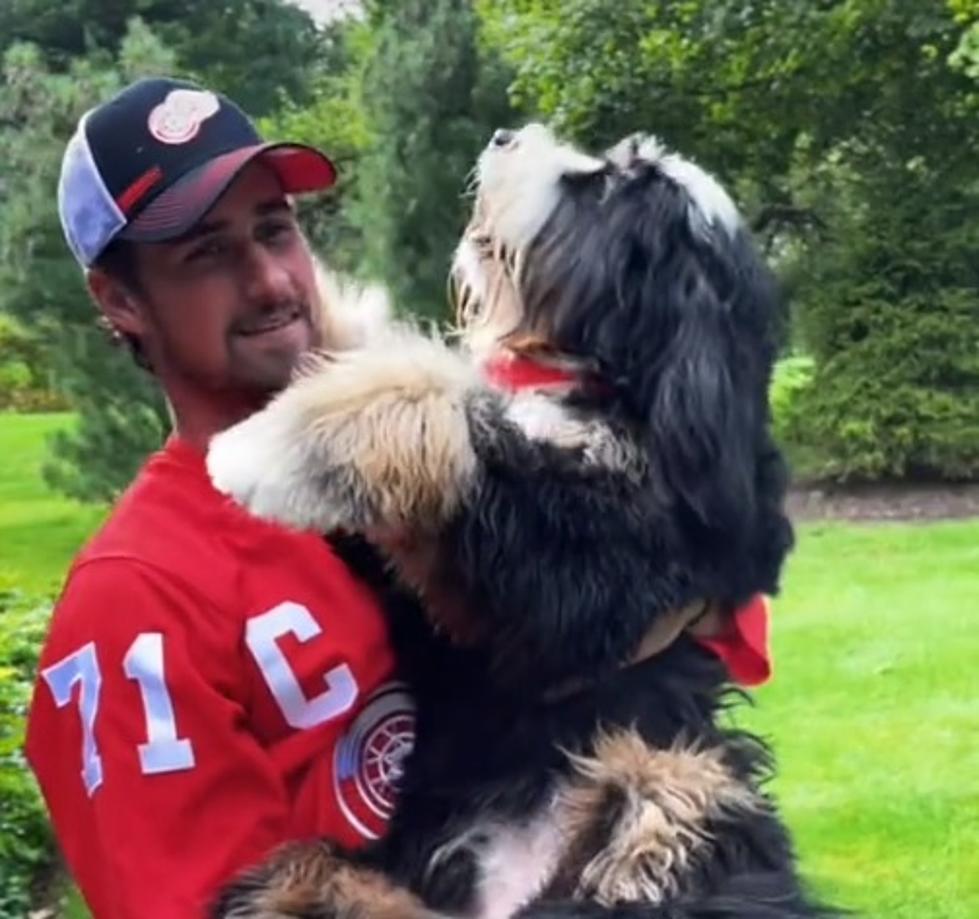 Detroit Red Wings Captain Shows Off Dog