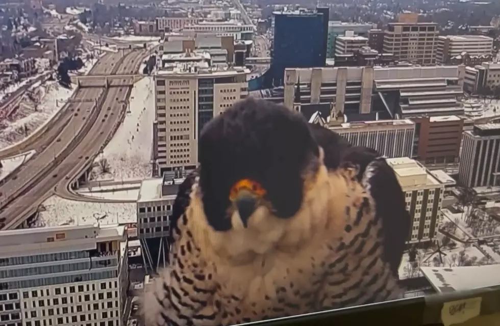 WOOD TV Skycam-Facebook