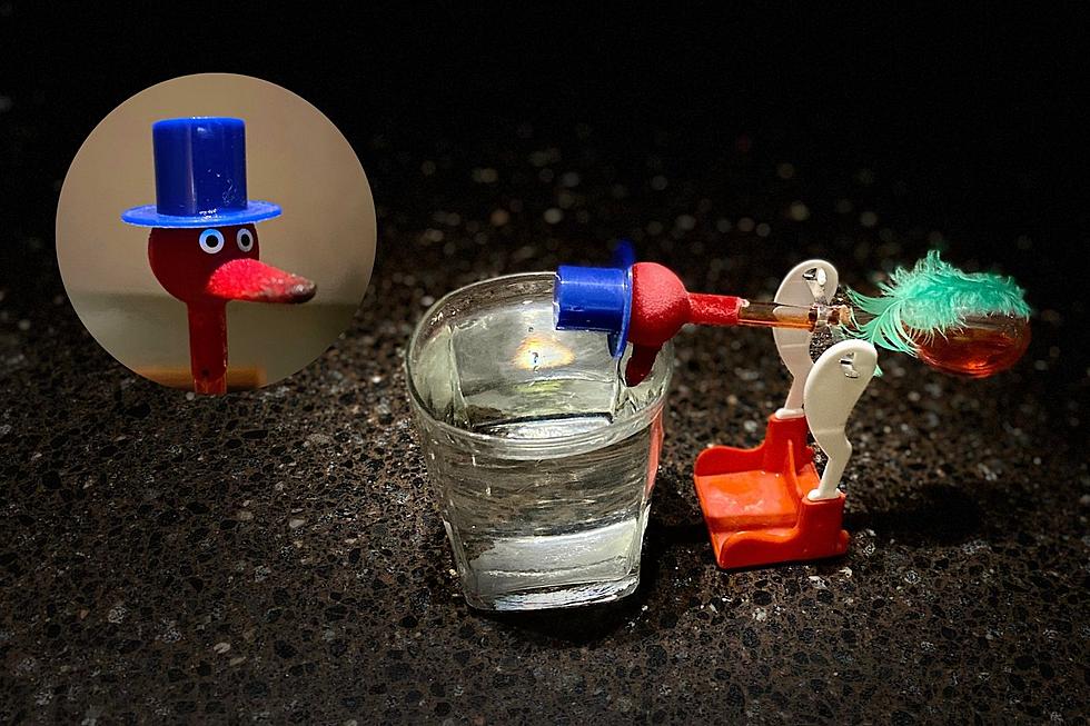 Looking Back at the Magical, Drinking Birds -- Did You Have One?