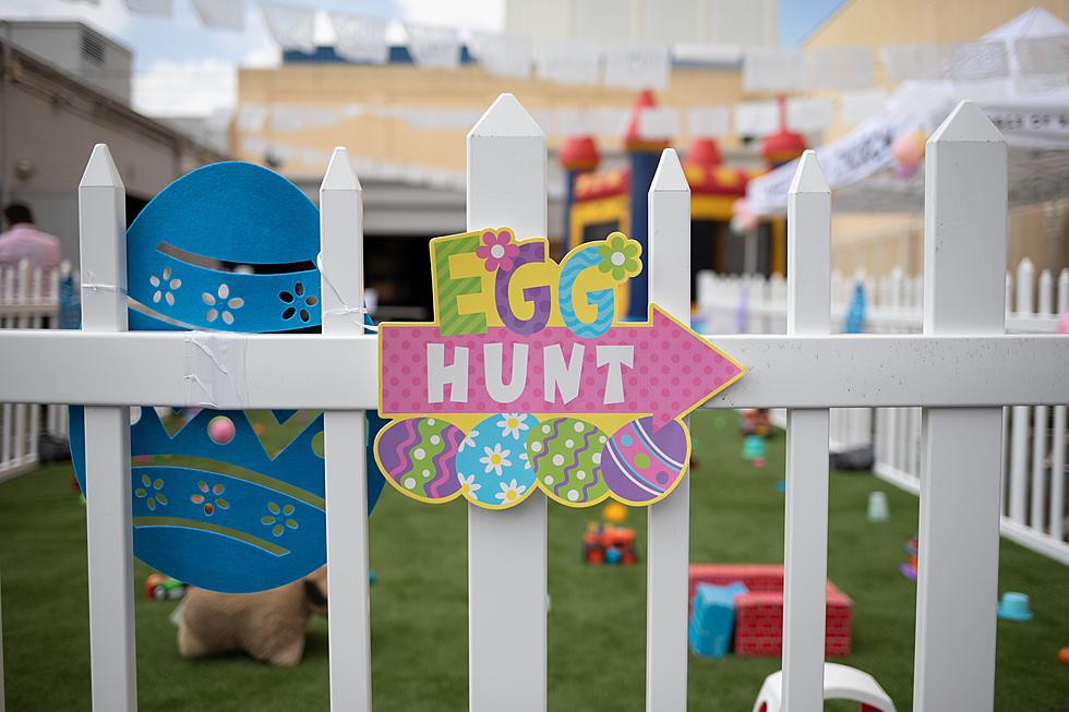 The Hunt Is On: The Grand Rapids Community Easter Egg Hunt