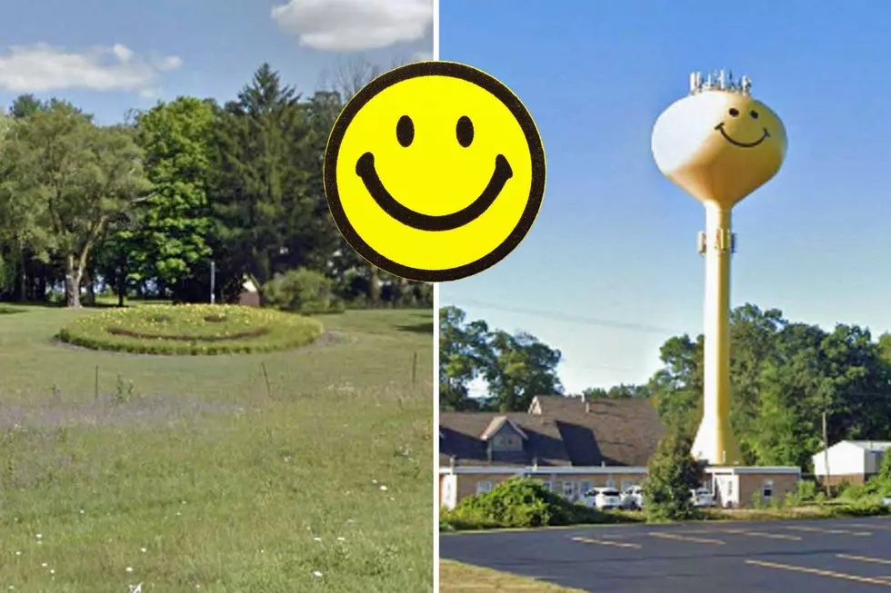 Where Are West Michigan's Largest Smiley Faces?