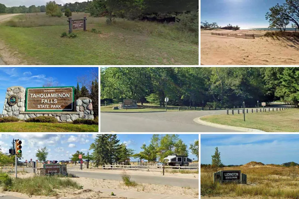 What is Everyone's Favorite State Park in Michigan?