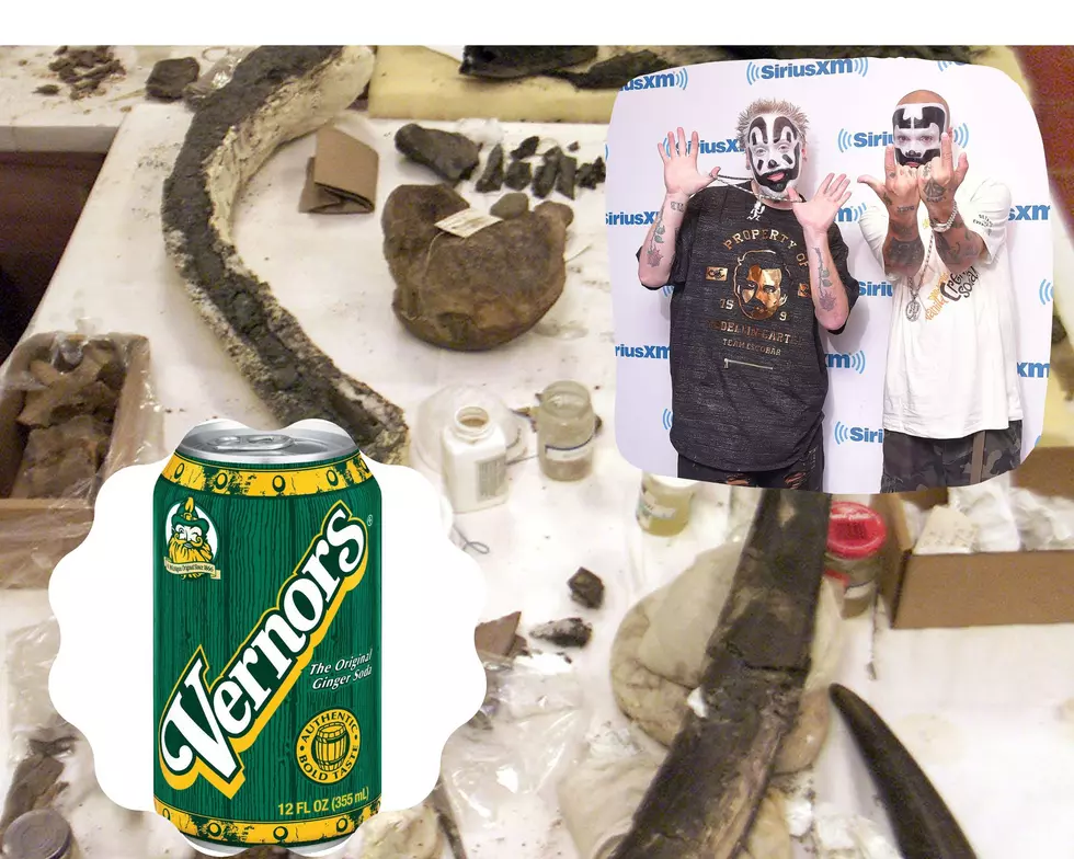 Five Other Michigan Things That Were Found Buried With The Mastodon