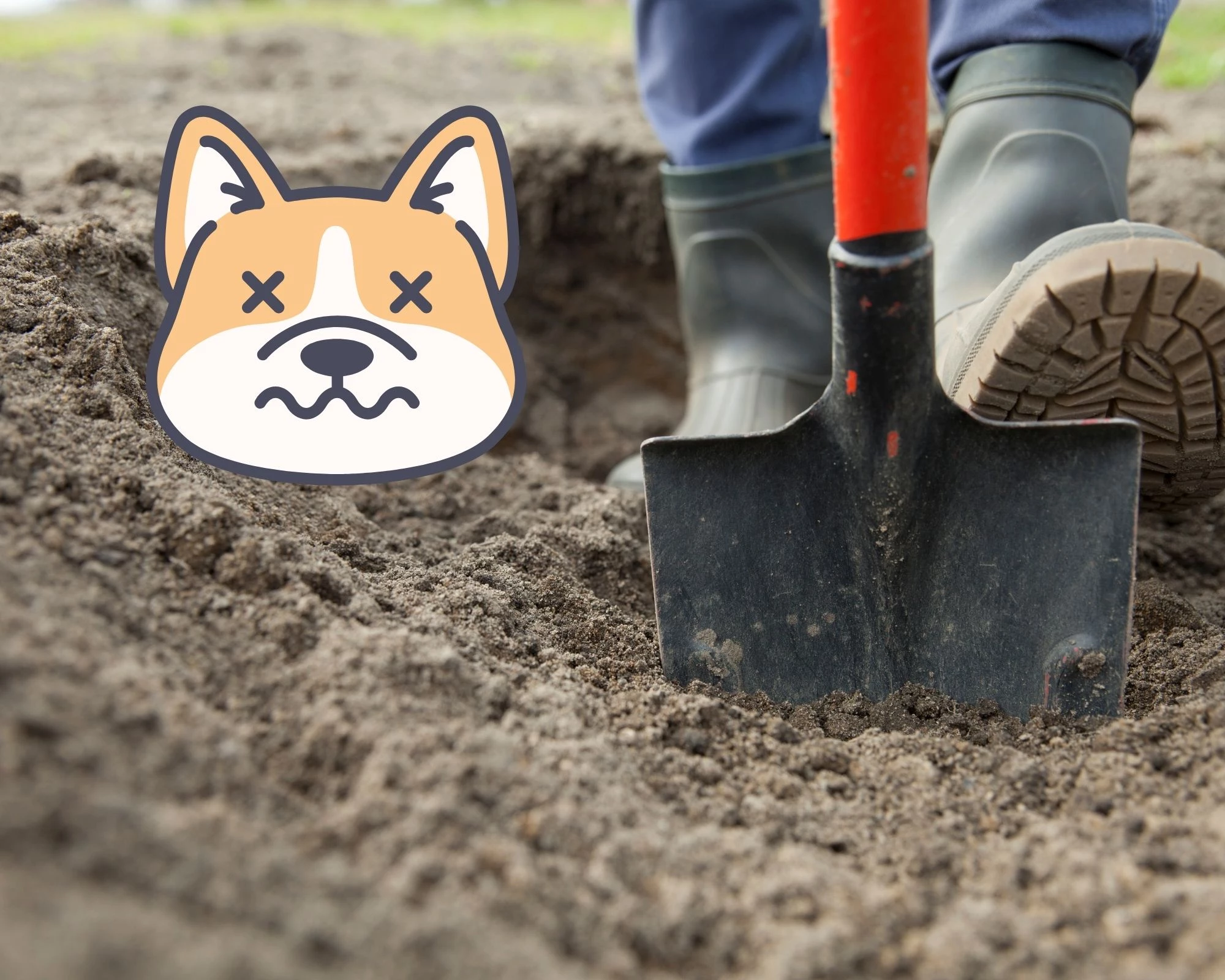 can you bury a dead dog in your yard