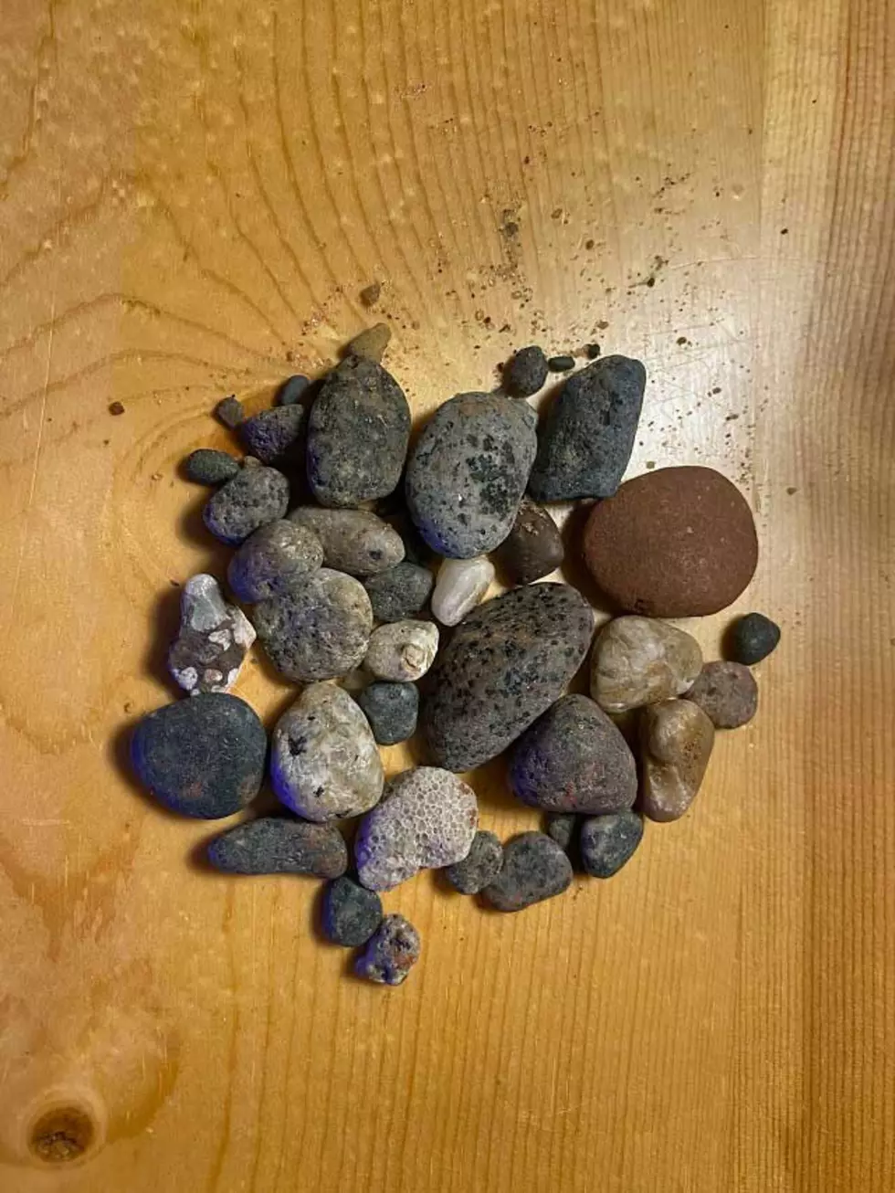 Yooperlite Rocks - Regular Light