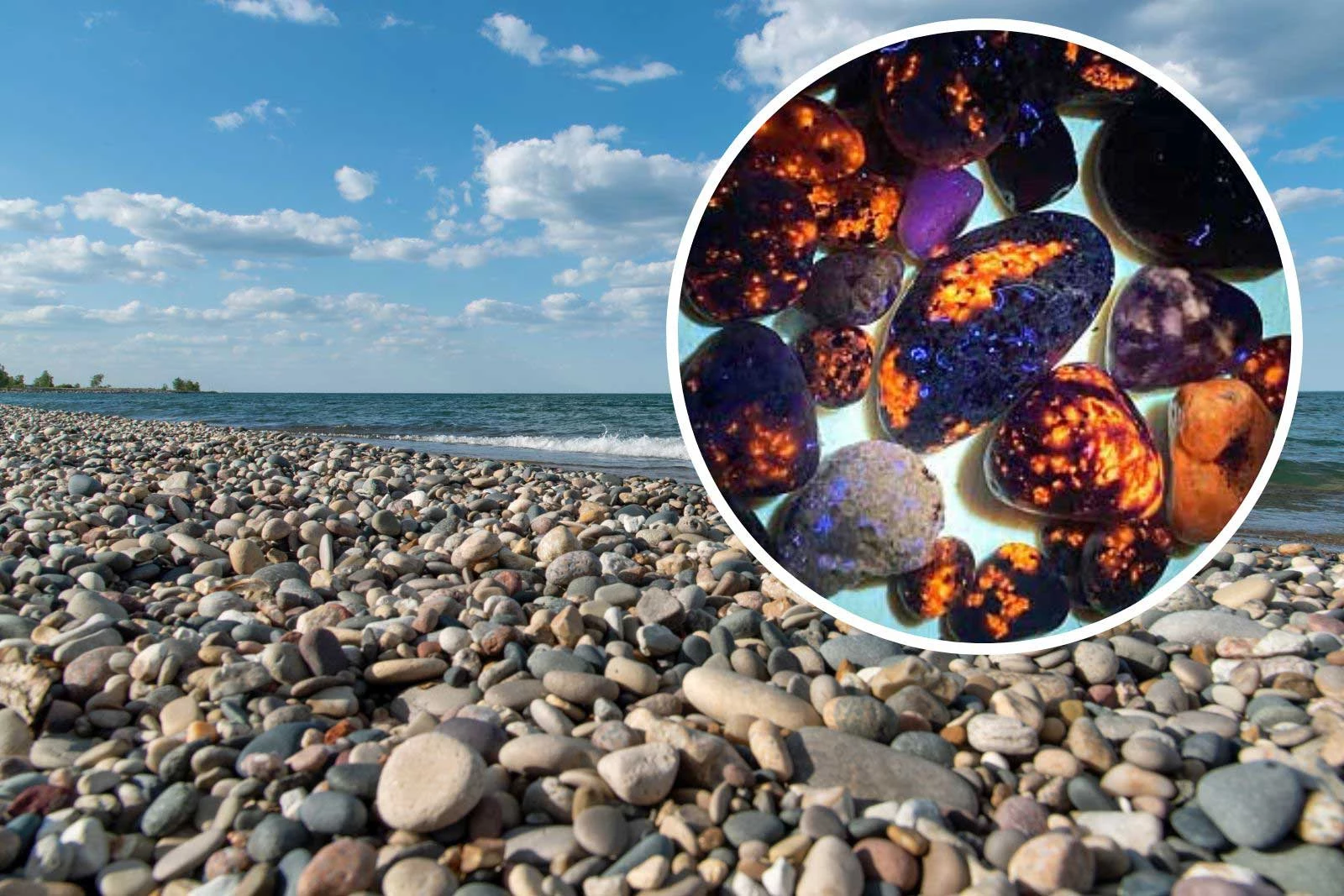 White Fossil Rocks Michigan UP Lake Superior Raw Natural Rocks and