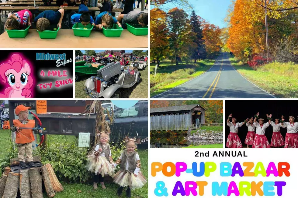 Things To Do in West Michigan This Weekend: October 14-16, 2022