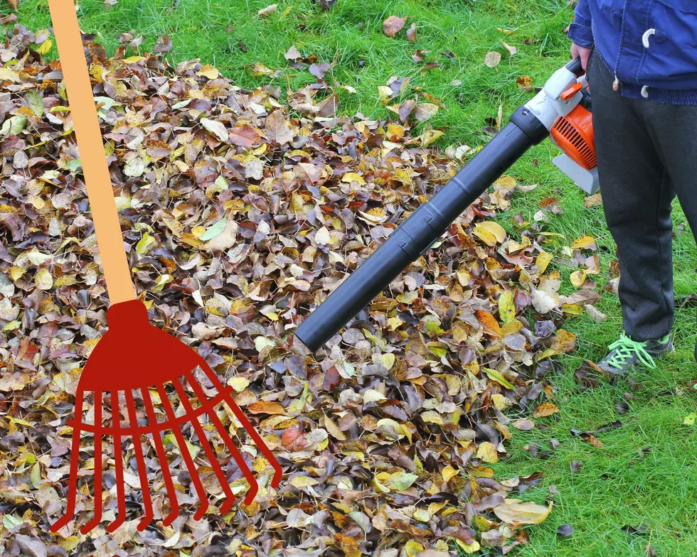 Unpopular Opinion: Why Raking Is Better Than Leaf Blowing