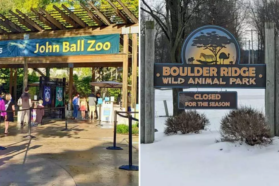 Grand Rapids Area Zoos Closing Down for the Winter