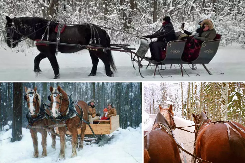 Where Can You Go on a Sleigh Ride near Grand Rapids?