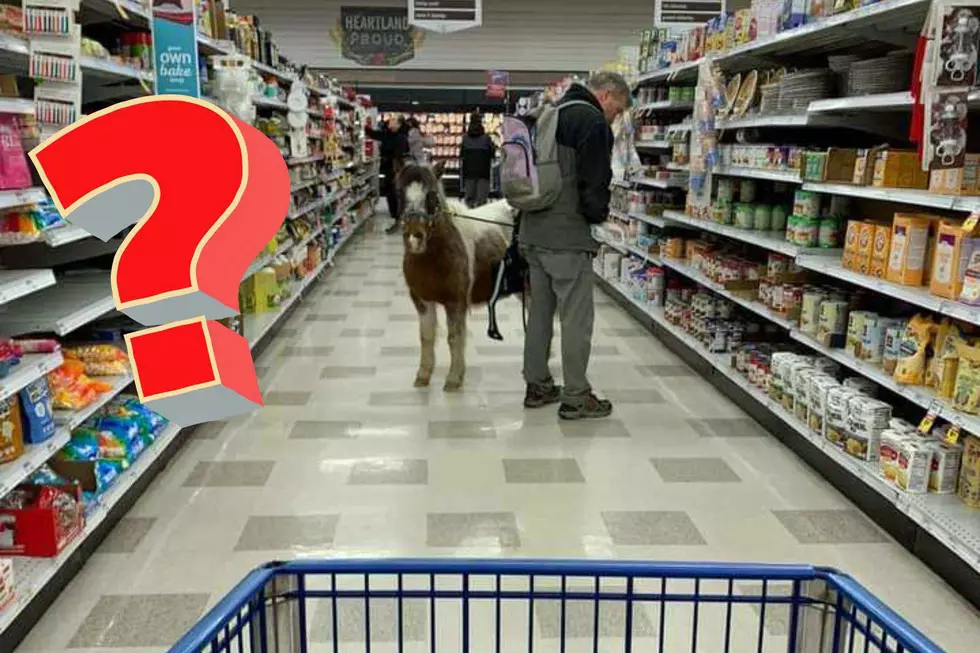 Was that a Miniature Horse Inside a Grand Rapids Grocery Store?